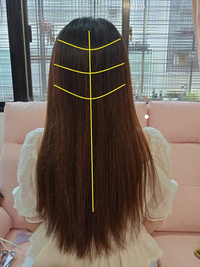 試用